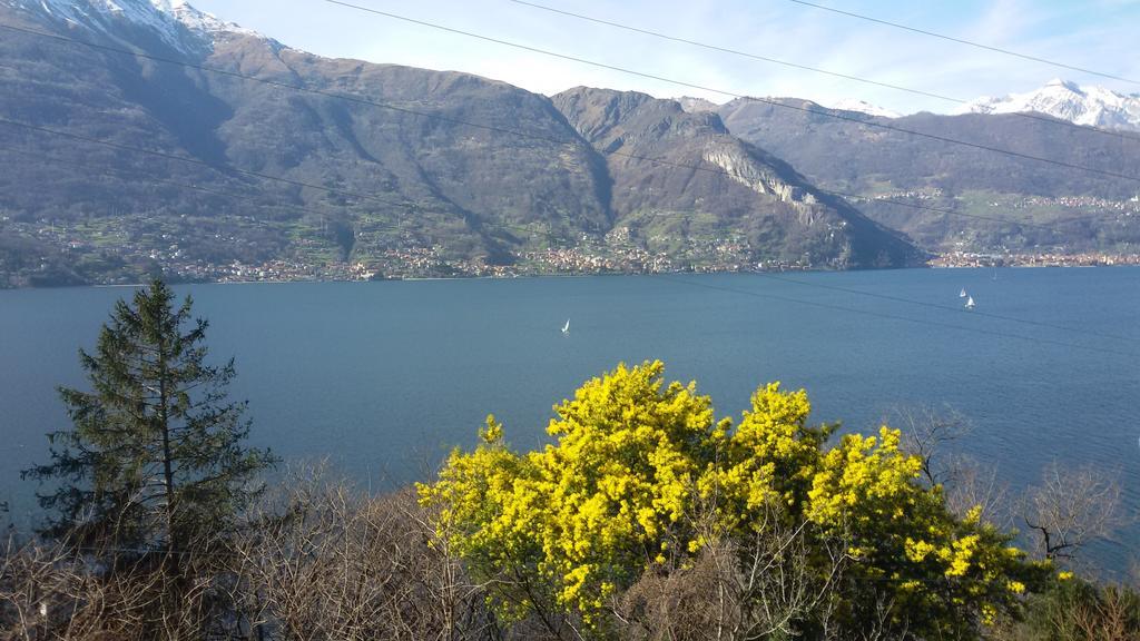 Al Castello Appartamento Dervio